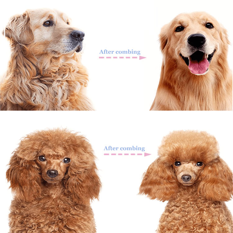 Pet Dematting Comb